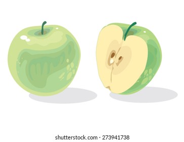 Green apple half. Vector