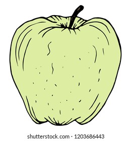 Green apple. Hand drawn vector illustration. Ink sketch. Isolated on white background.
