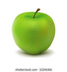 Green apple illustration in vector