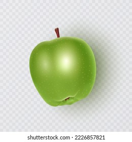 Green apple isolated on a white backgroun. Vector illustration