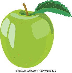Green apple with a leaf. Vector illustration.