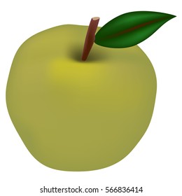 Green apple on a white background.