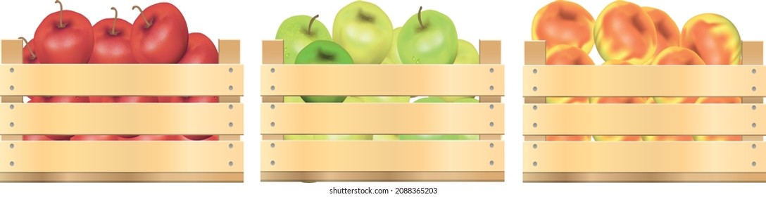 green apple, red apple, Yellow apple in basket vector set