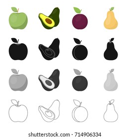 Green apple, ripe avocado, plum fruit, pear. Fruits set collection icons in cartoon black monochrome outline style vector symbol stock illustration web.