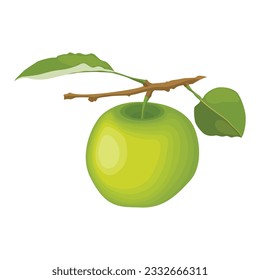 Green apple set vector illustration. Cartoon isolated whole delicious juicy fruit and cut into portion slices, half and quarter pieces, tree branch with organic fruity apples, and green leaves