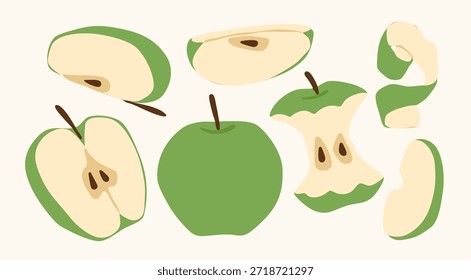 Green Apple set. Whole, half, sliced, bitten fruit, skin. Hand drawn Vector illustration. Isolated design elements. Tasty food, healthy product concept. Sticker, print, logo, icon templates