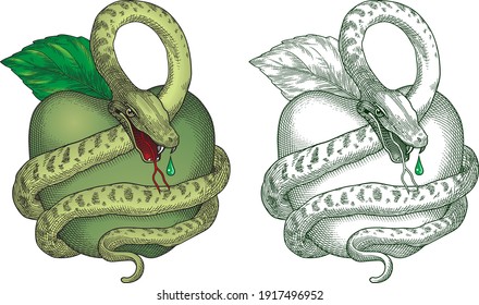 Green Apple And Snake Vector 