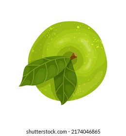 Green apple top view. Cartoon vector graphic.