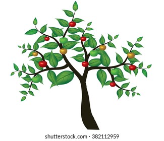 Green Apple tree full of red apples isolated over white