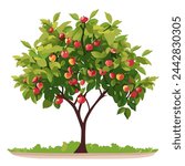 Green apple tree with many red apples hot summer day illustration 10 eps vector