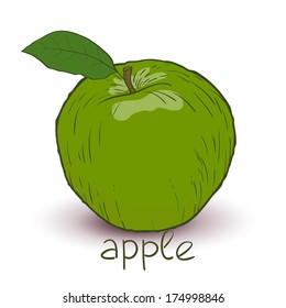 Green apple in vector