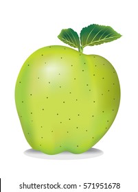 green apple vector