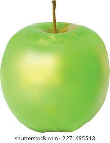 A green apple. Vector file for designs.