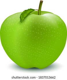 Green apple vector illustration eps