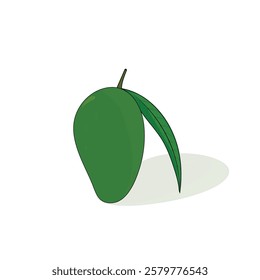 Green apple vector and illustrations