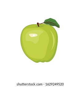 Green apple vector. Apple. apple with leaf