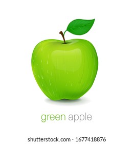 Green Apple Vector Realistic Illustration