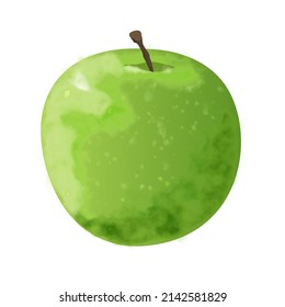 Green apple water color isolated on white background. Vector illustration