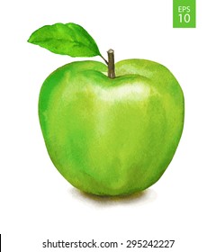 Green apple. Watercolor drawing. Vector illustration