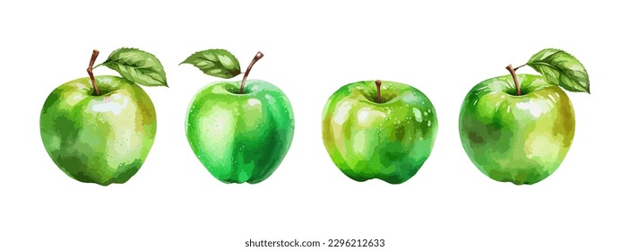 Green apple watercolor isolated on white background. Fresh summer fruit sweet set. Realistic apple vector illustration