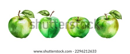 Green apple watercolor isolated on white background. Fresh summer fruit sweet set. Realistic apple vector illustration