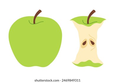 Green apple. Whole and Apple Core. Hand drawn trendy flat style isolated. Apple eaten cartoon image art. Healthy vegetarian snack, apple core for design, infographic. Vector illustration