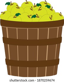 Green apples in a barrel. Apples vector illustration.