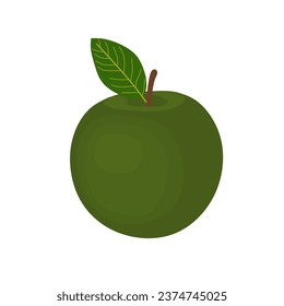 Green apples, not yet ripe apples. flat apple illustration for flyer design.