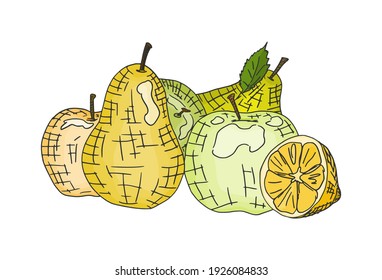 green apples and pears simple drawing. doodle sketch vector