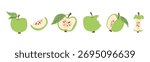 Green apples vector illustration set with soft outline. Fresh minimal fruit collection with halves, slices and core isolated on white background.