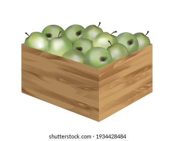 Green apples in wooden fruit box. Vector illustration, isolated on white.