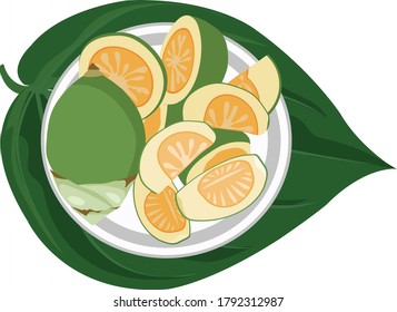 green areca and betel vector