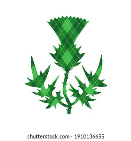  
Green argyle thistle St. Patrick's Day colors. Symbol, icon, design element. Vector illustration on white background.