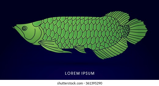Green Arowana Fish, graphic vector.