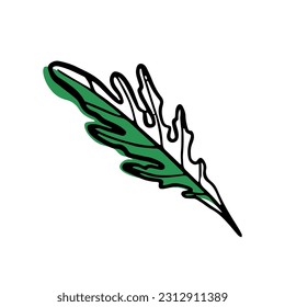 Green arugula on white background