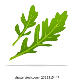 Ilustración aislada del vector de arugula verde