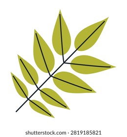 Green Ash leaf isolated on white background. Flat vector illustrations
