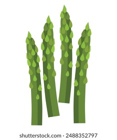 Green asparagus bunch design vector illustration.