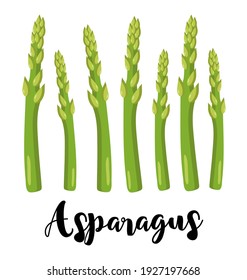 Green Asparagus colorful vector illustration for vegan, organic diet books or menu. Vector spring elements for cards, banners, posters, mug, scrapbooking, pillow case, phone cases and clothes design. 