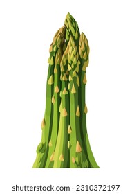 Green asparagus, fresh vegetable icon isolated