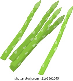 green asparagus isolated on white background, flat design vector illustration