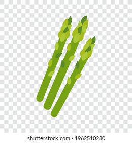 Green asparagus isolated vector illustration.