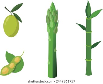 Green asparagus, olives and beans. Vector illustration.