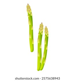 Green asparagus stems in flat design. Natural organic vegetable bunch. Vector illustration isolated.
