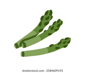 Green asparagus stems, stalks. Fresh natural vegetable sprouts. Healthy vegetarian food. Organic farm sparrowgrass. Sparrow grass eating. Flat vector illustration isolated on white background