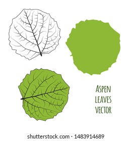 Green aspen leaves isolated on white background. Vector illustration