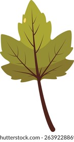 A green autumn leaf illustration with natural details and soft veins, perfect for seasonal themes, botanical content, or eco-friendly design elements.

