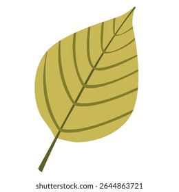 Green autumn leaf on a white background. Hand-drawn botanical plants in a vector. A decorative element for seasonal compositions.