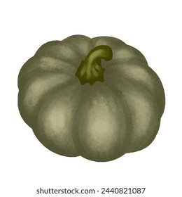 Green autumn pumpkin, harvest healthy food