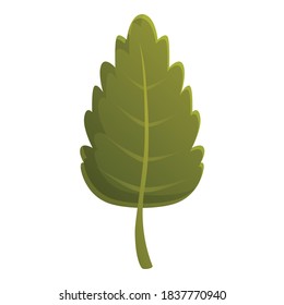 Green autumn tree leaf icon. Cartoon of green autumn tree leaf vector icon for web design isolated on white background